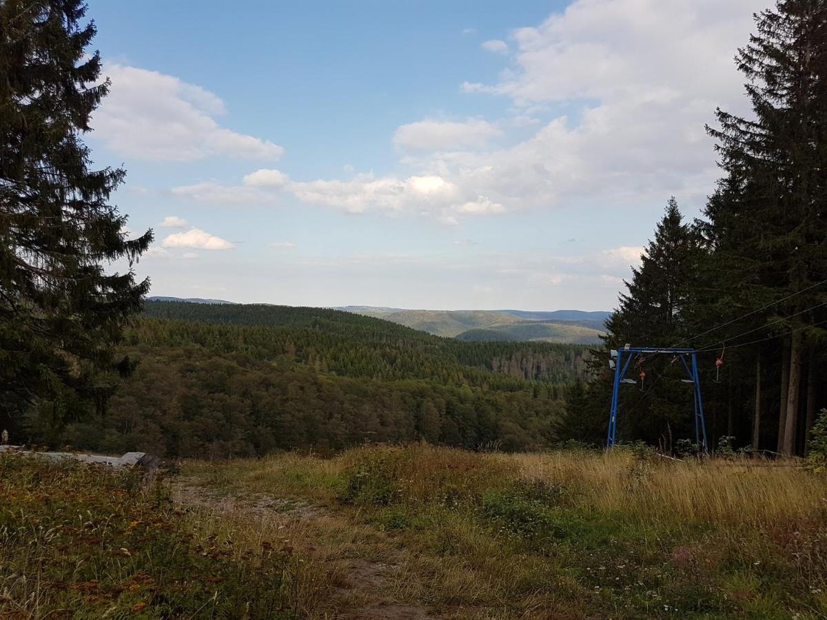 Ferienwohnungen Harz - Wieda Zewnętrze zdjęcie